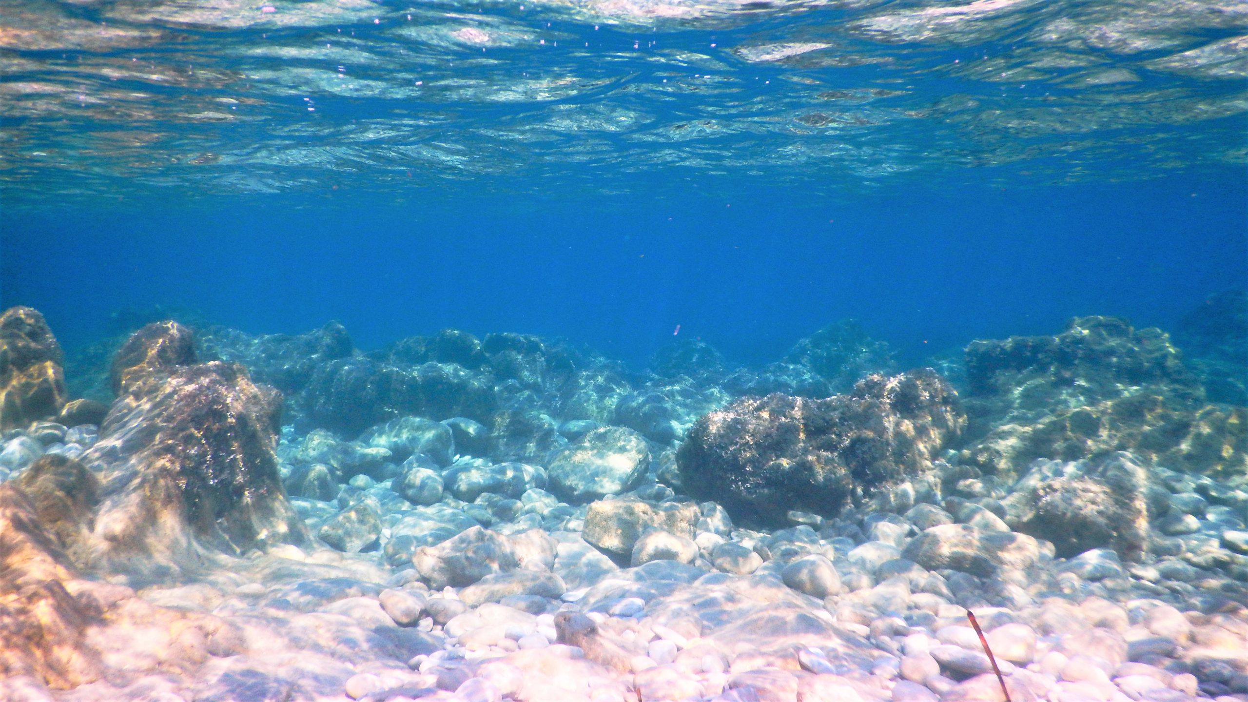 Küstennahe Unterwasserwelt der Ionischen Inseln