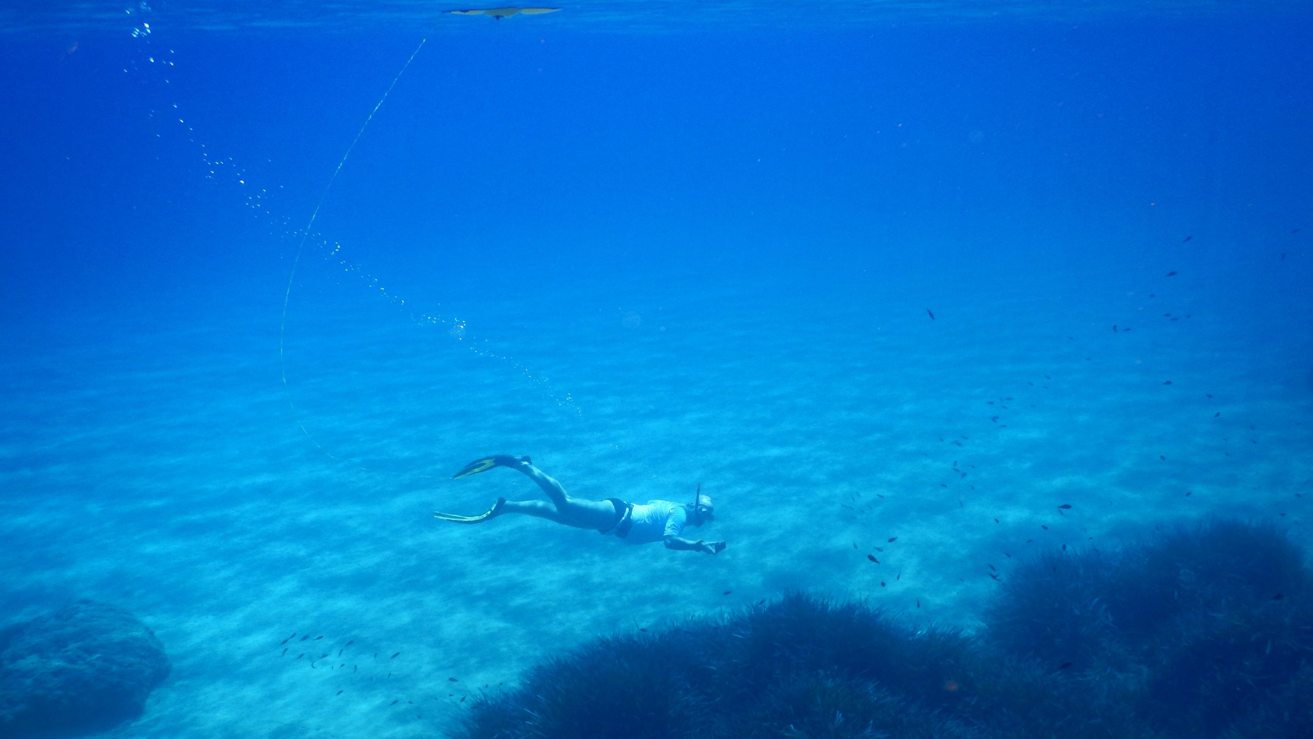 Eine Person schnorchelt 4-5m unter Wasser und fotografiert Fische