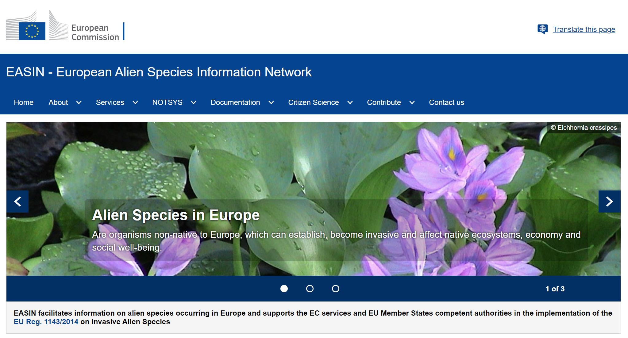 EASIN – Invasive Arten in Europa