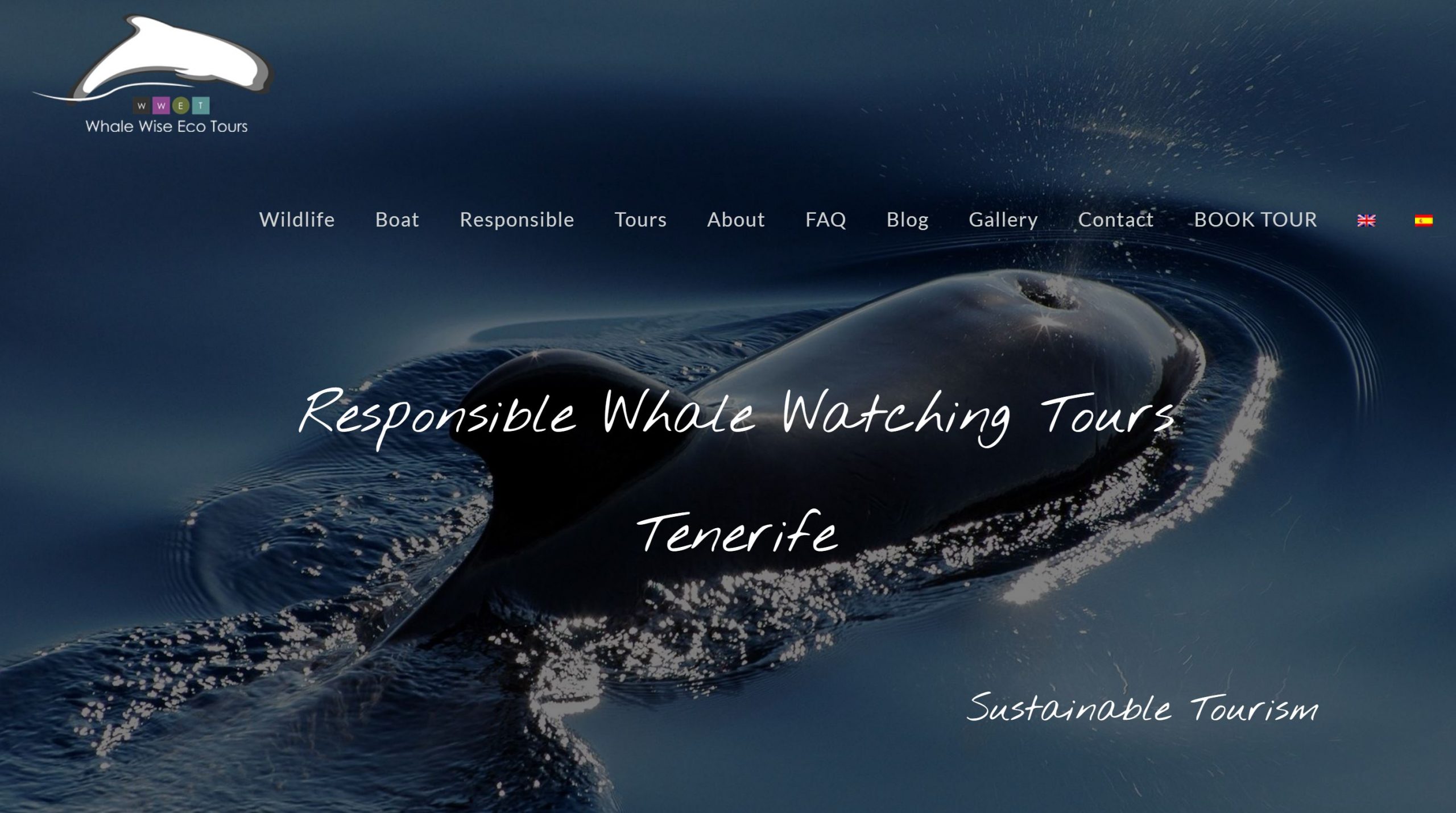 Walbeobachtung vor Teneriffa und La Gomera