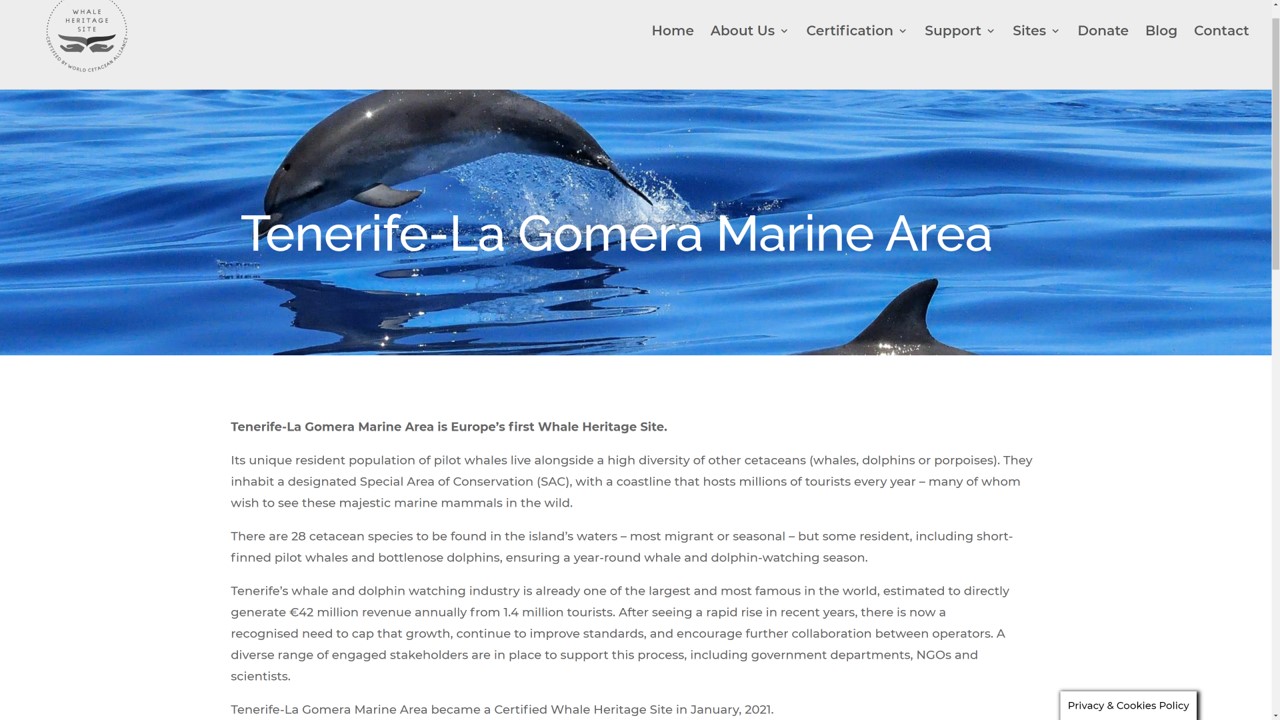 Meeresgebiet zwischen Teneriffa und La Gomera:  erstes zertifiziertes Walschutzgebiet Europas